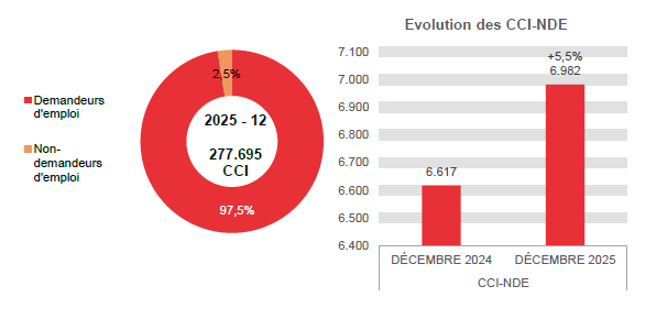 202.512 CCI en 2025 - 12: 270.713 (97,5%) demandeurs d'emploi et 6.982 (2,5%) non-demandeurs d'emploi	Evolution des CCI-NDE: 6.617 en DÉCEMBRE 2024 et 6.982 en DÉCEMBRE 2025 (+5,5%)