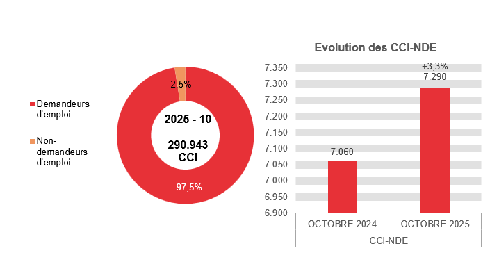 202.510 CCI en 2025 - 10: 283.653 (97,5%) demandeurs d'emploi et 7.290 (2,5%) non-demandeurs d'emploi Evolution des CCI-NDE: 7.060 en OCTOBRE 2024 et 7.290 en OCTOBRE 2025 (+3,3%)