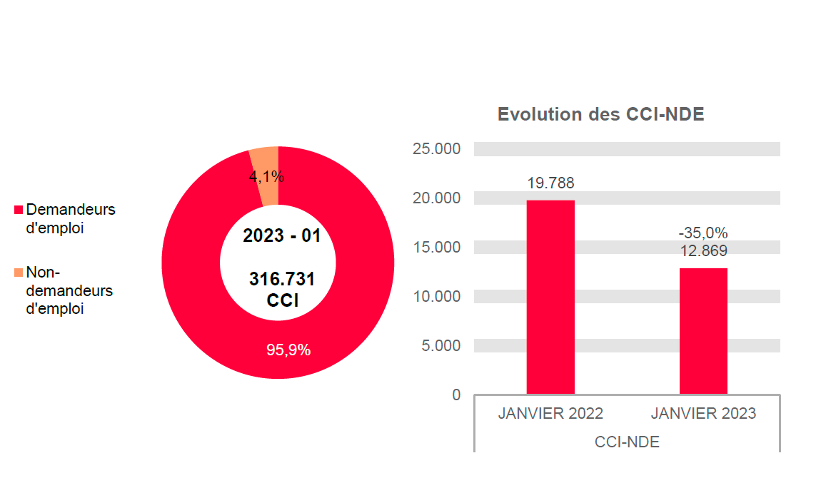 202.301 CCI en 2023 - 01: 303.862 (95,9%) demandeurs d'emploi et 12.869 (4,1%) non-demandeurs d'emploi	Evolution des CCI-NDE: 19.788 en JANVIER 2022 et 12.869 en JANVIER 2023 (-35,0%)