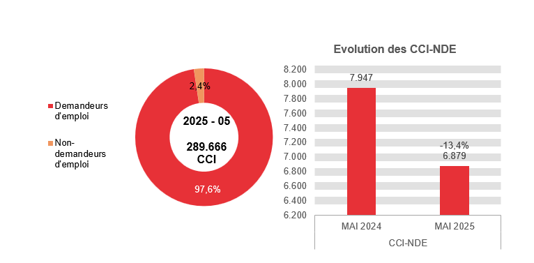 202.505 CCI en 2025 - 05: 282.787 (97,6%) demandeurs d'emploi et 6.879 (2,4%) non-demandeurs d'emploi	Evolution des CCI-NDE: 7.947 en MAI 2024 et 6.879 en MAI 2025 (-13,4%)