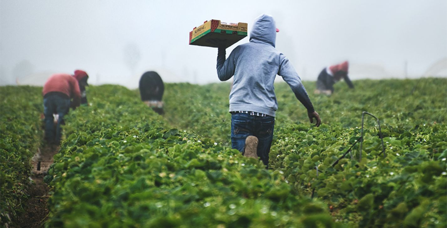 Image illustrant l'actualité "Campagne européenne sur le travail saisonnier" du 31-05-2021