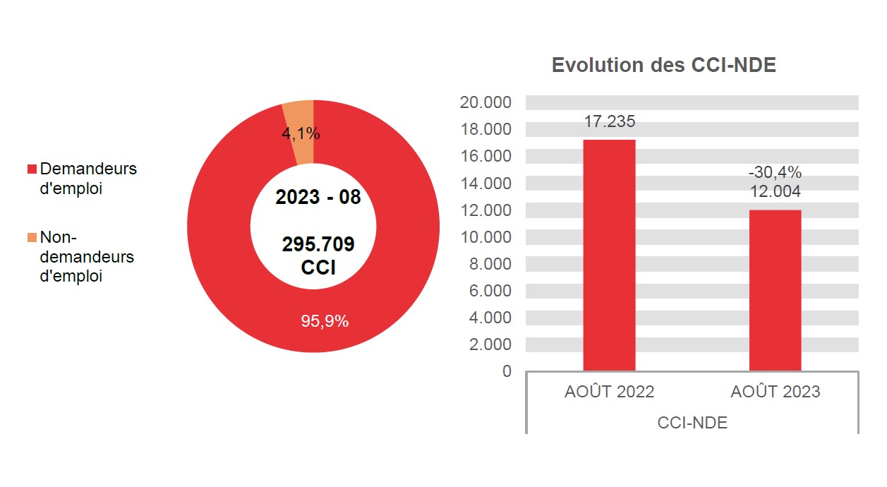 202.308 CCI en 2023 - 08: 283.705 (95,9%) demandeurs d'emploi et 12.004 (4,1%) non-demandeurs d'emploi	Evolution des CCI-NDE: 17.235 en AOÛT 2022 et 12.004 en AOÛT 2023 (-30,4%)