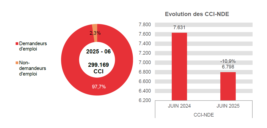 202.506 CCI en 2025 - 06: 292.371 (97,7%) demandeurs d'emploi et 6.798 (2,3%) non-demandeurs d'emploi	Evolution des CCI-NDE: 7.631 en JUIN 2024 et 6.798 en JUIN 2025 (-10,9%)