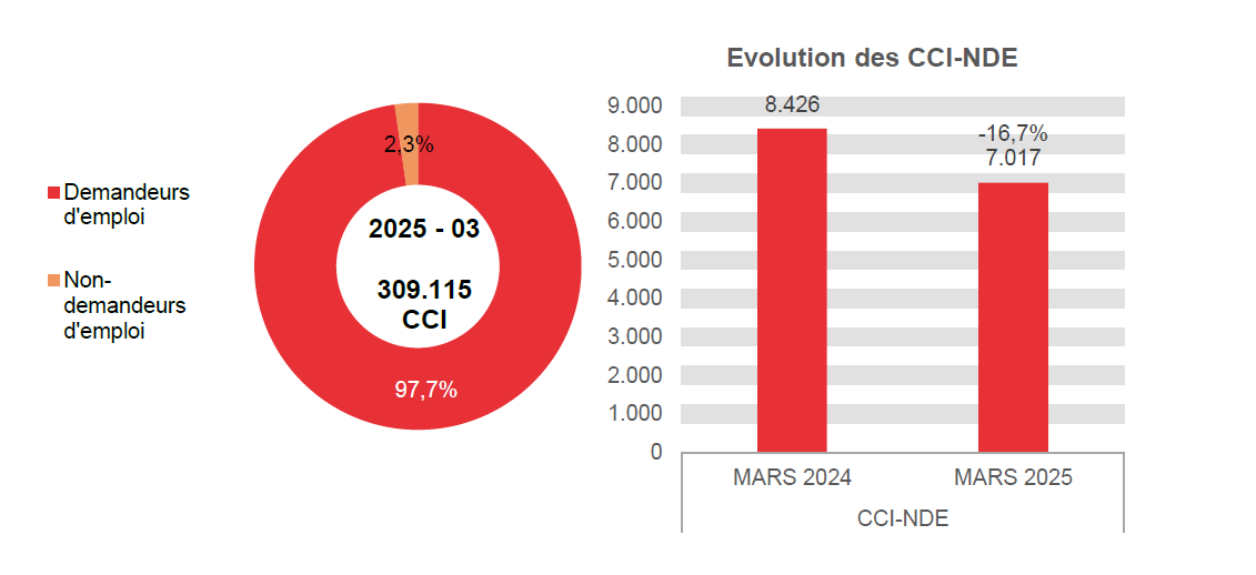 202.503 CCI en 2025 - 03: 302.098 (97,7%) demandeurs d'emploi et 7.017 (2,3%) non-demandeurs d'emploi	Evolution des CCI-NDE: 8.426 en MARS 2024 et 7.017 en MARS 2025 (-16,7%)