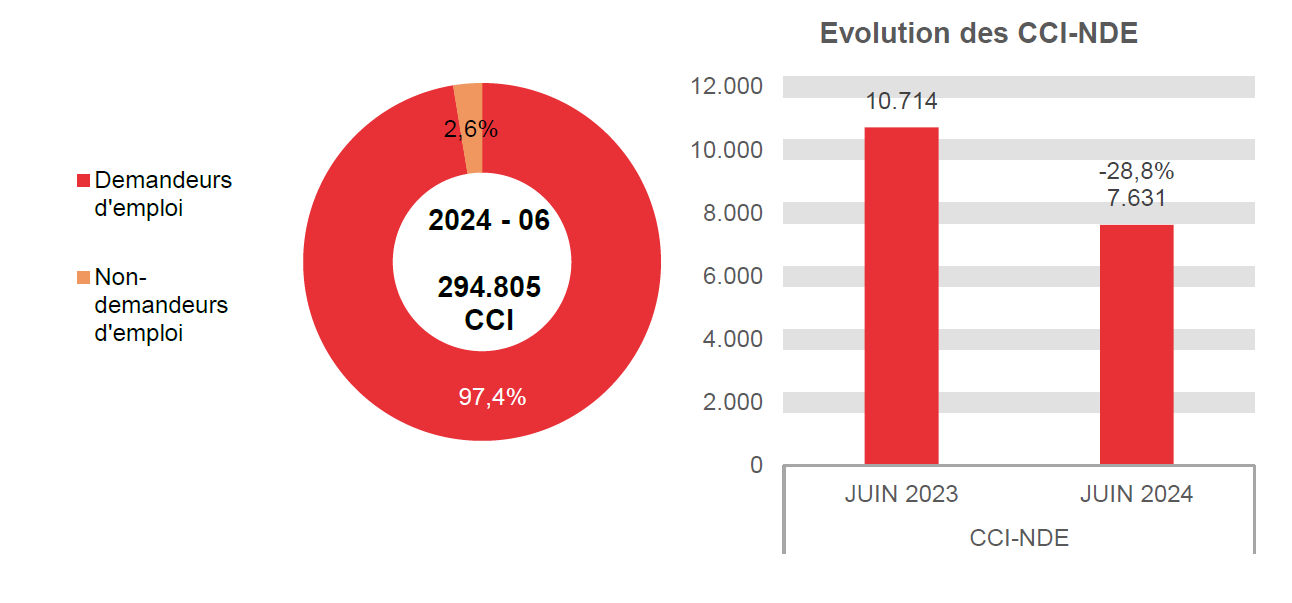 202.406 CCI en 2024 - 06: 287.174 (97,4%) demandeurs d'emploi et 7.631 (2,6%) non-demandeurs d'emploi	Evolution des CCI-NDE: 10.714 en JUIN 2023 et 7.631 en JUIN 2024 (-28,8%)