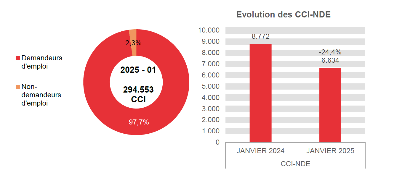 202.501 CCI en 2025 - 01: 287.919 (97,7%) demandeurs d'emploi et 6.634 (2,3%) non-demandeurs d'emploi	Evolution des CCI-NDE: 8.772 en JANVIER 2024 et 6.634 en JANVIER 2025 (-24,4%)