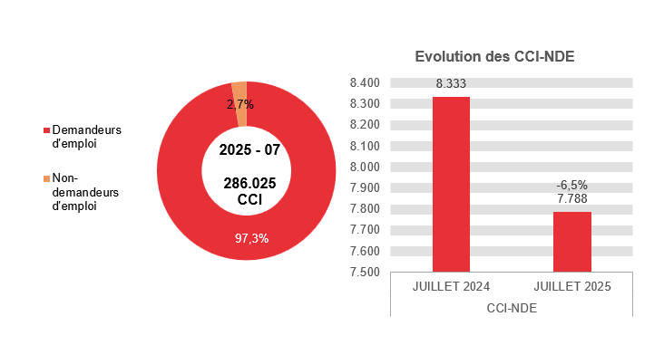 202.507 CCI en 2025 - 07: 278.237 (97,3%) demandeurs d'emploi et 7.788 (2,7%) non-demandeurs d'emploi	Evolution des CCI-NDE: 8.333 en JUILLET 2024 et 7.788 en JUILLET 2025 (-6,5%)